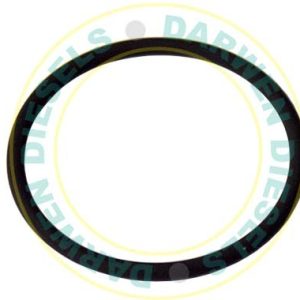 7190-065JY Delphi O-Ring DFP6.1