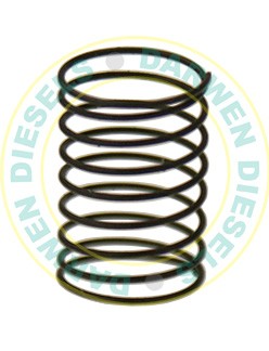 2444615006 Non Genuine Compression Spring