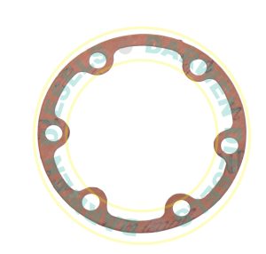 7092-80 Feed Pump Gasket